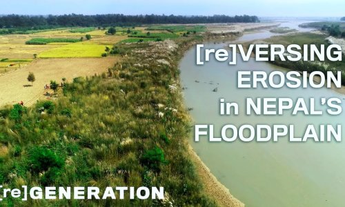 Using Bioengineering to Protect and Restore the Terai Floodplain of Nepal